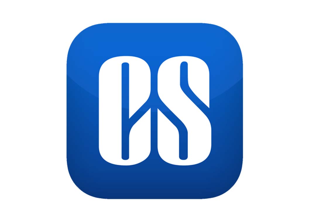 CS (company secretary)